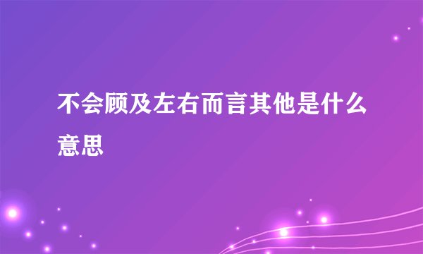 不会顾及左右而言其他是什么意思