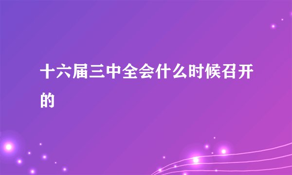 十六届三中全会什么时候召开的