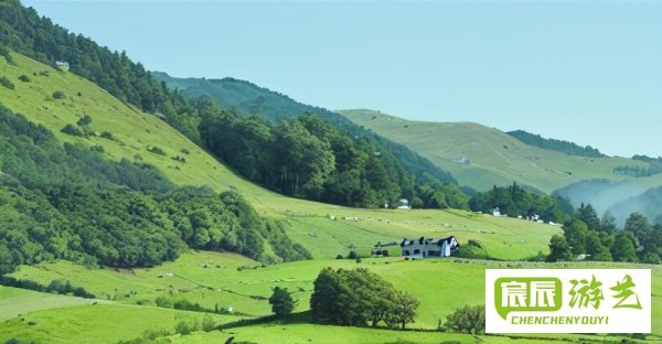 四川口碑好的二本,四川好点的二本学校