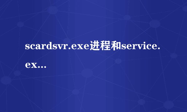 scardsvr.exe进程和service.exe进程~