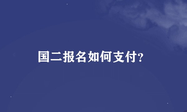 国二报名如何支付？