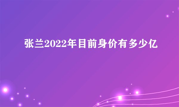 张兰2022年目前身价有多少亿