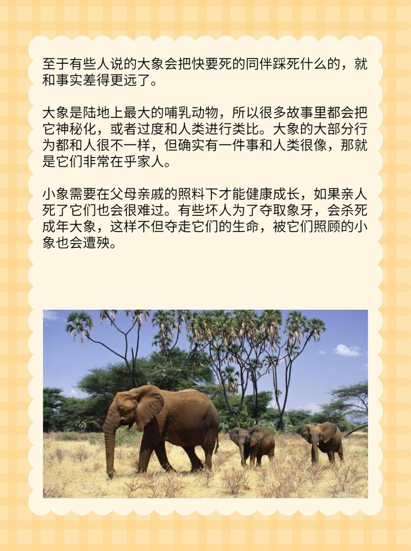 大象墓地是真的吗