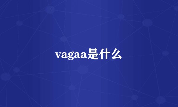 vagaa是什么