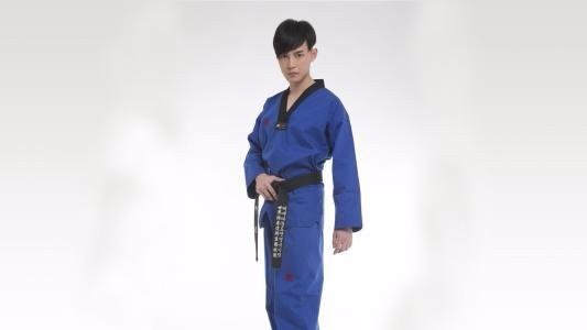 跆拳道黑带9段中国有几个人？