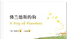 《佛兰德斯的狗》表达什么