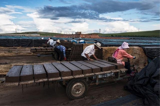 砖窑是如何烧出砖的