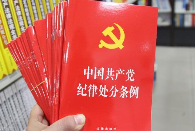 陕西家暴妻子的高管可能会承担哪些法律责任?