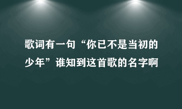 歌词有一句“你已不是当初的少年”谁知到这首歌的名字啊