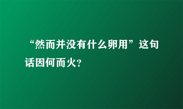 “然而并没有什么卵用”这句话因何而火？