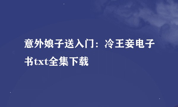 意外娘子送入门：冷王妾电子书txt全集下载