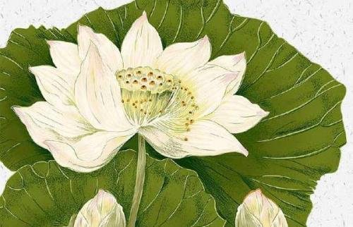 儿童不解春何在 只拣游人多处行出自那首诗？