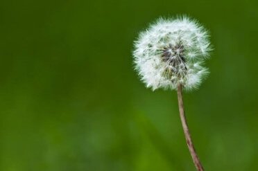 寄托什么如何填词语？