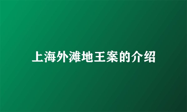 上海外滩地王案的介绍