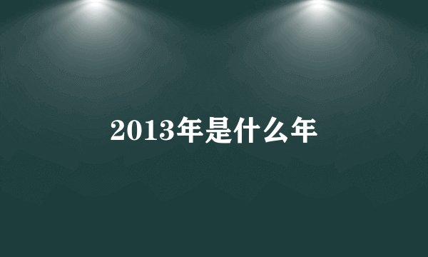 2013年是什么年