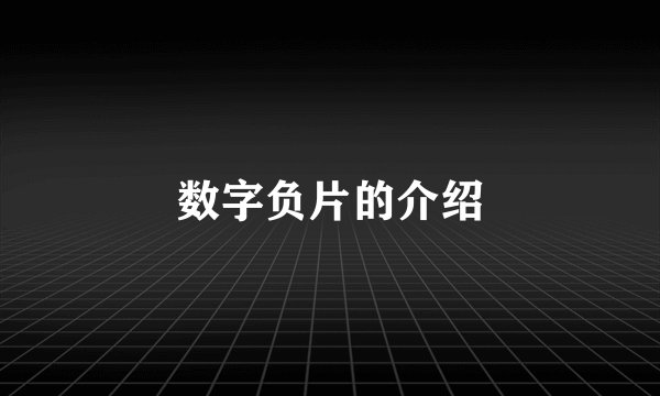 数字负片的介绍
