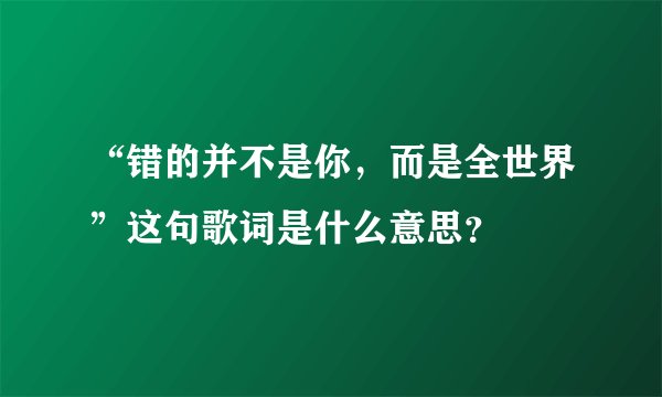 “错的并不是你，而是全世界”这句歌词是什么意思？
