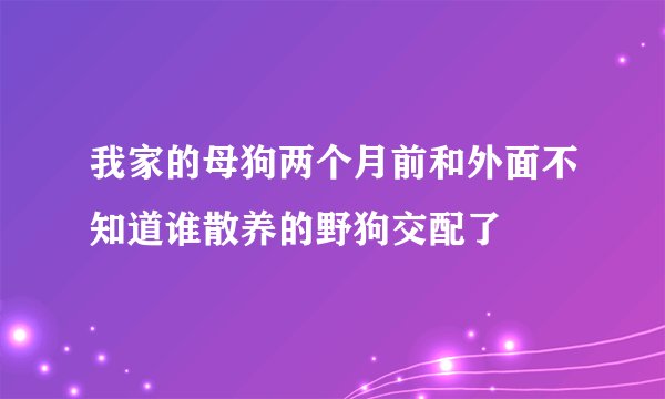 我家的母狗两个月前和外面不知道谁散养的野狗交配了