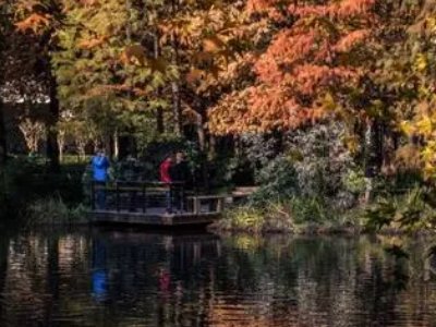 秋波的意思是什么？