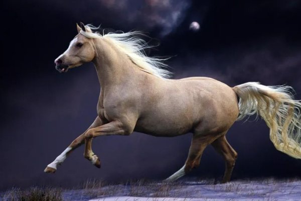 手到擒来是什么意思又形容比喻什么生肖