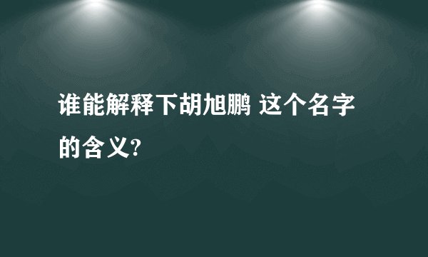 谁能解释下胡旭鹏 这个名字的含义?