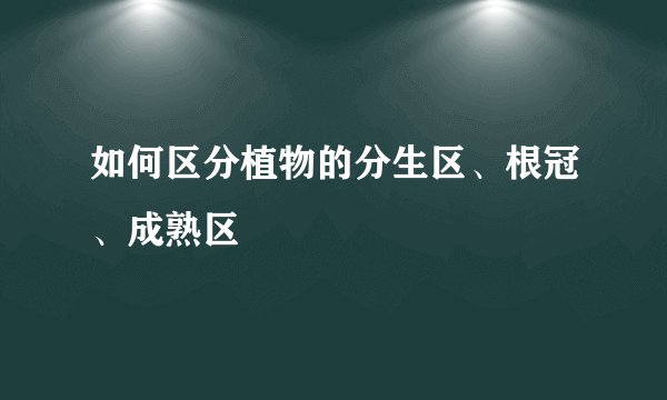 如何区分植物的分生区、根冠、成熟区