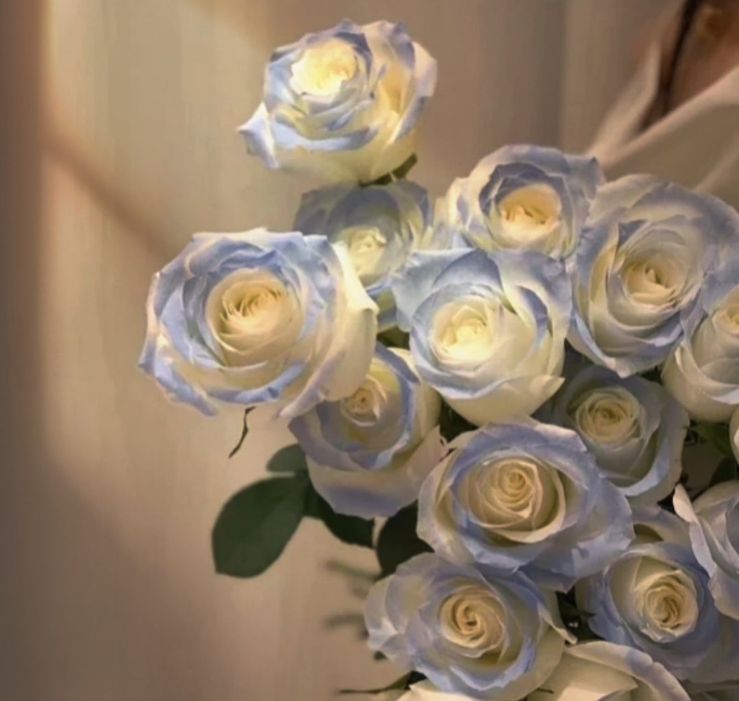 女孩子可以随便接受玫瑰花吗？