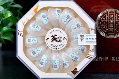 燕窝哪个品牌好