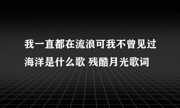 我一直都在流浪可我不曾见过海洋是什么歌 残酷月光歌词