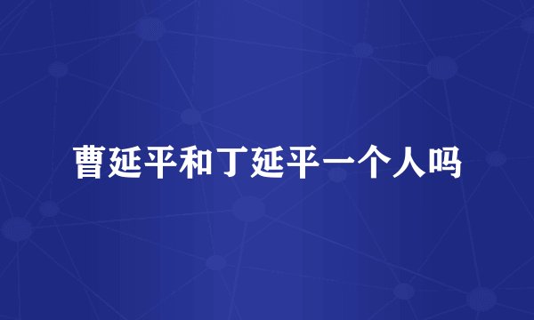 曹延平和丁延平一个人吗