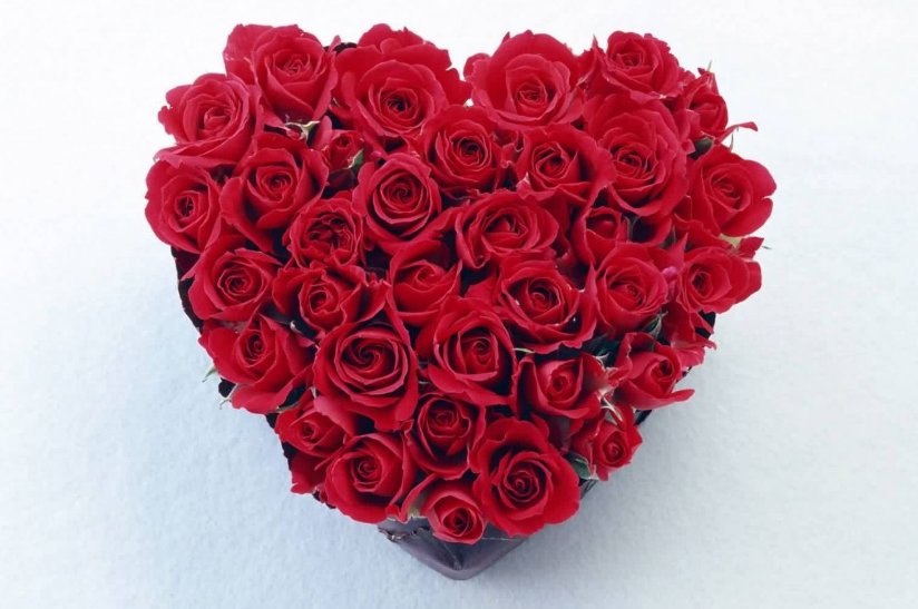 情人节什么意思