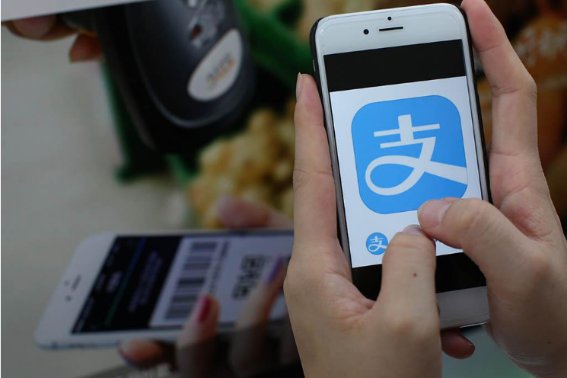 chargeback是什么意思