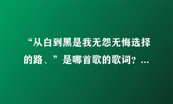 “从白到黑是我无怨无悔选择的路、”是哪首歌的歌词？谁唱的？