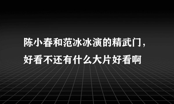 陈小春和范冰冰演的精武门，好看不还有什么大片好看啊
