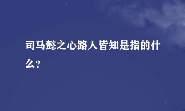司马懿之心路人皆知是指的什么？