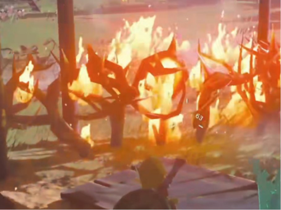 拉贝拉湿地带鸟望台怎么进去?