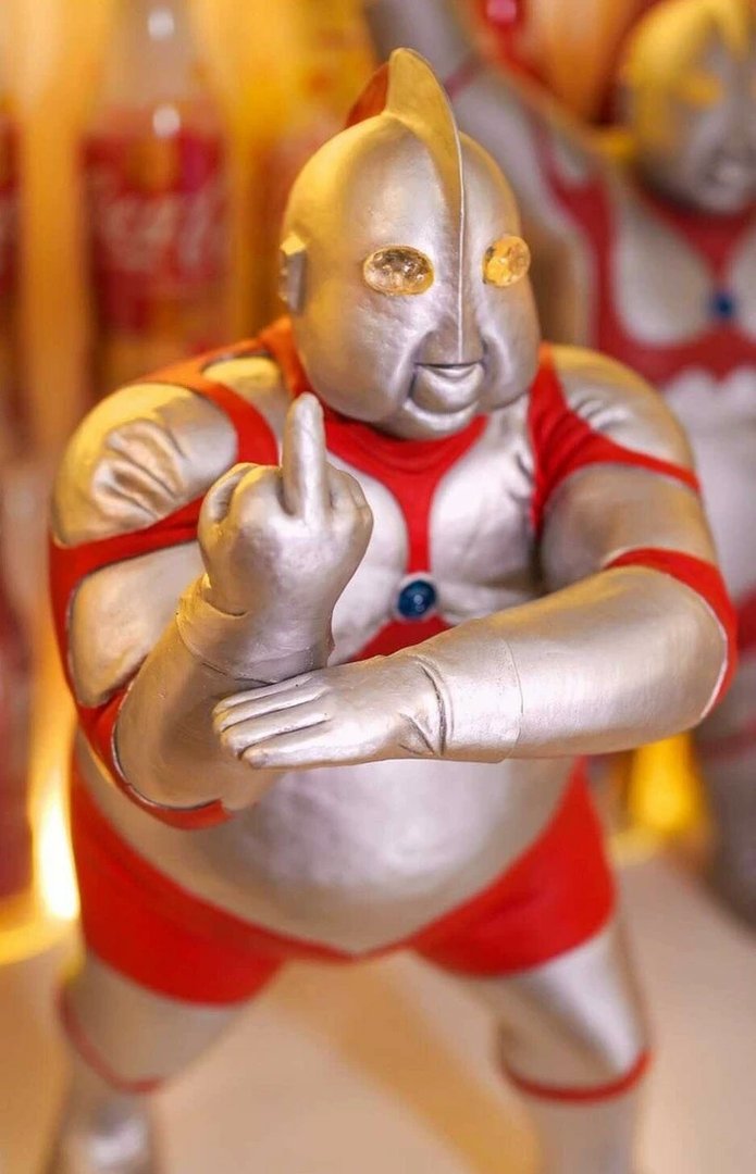 林权证在哪里查询？