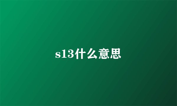 s13什么意思
