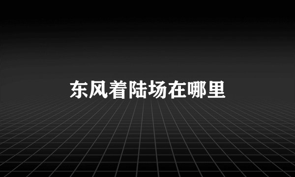 东风着陆场在哪里