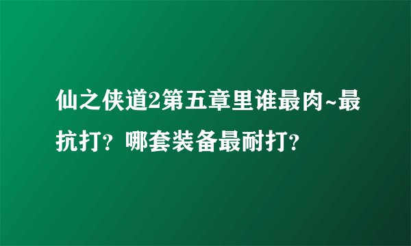 仙之侠道2第五章里谁最肉~最抗打？哪套装备最耐打？