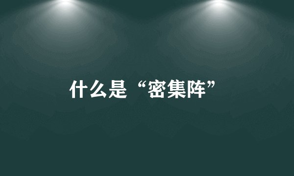 什么是“密集阵”