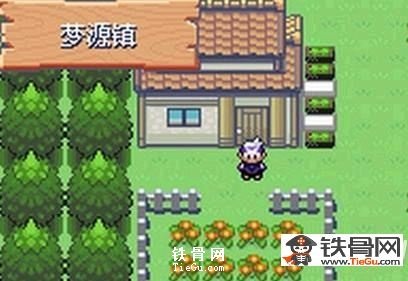 迪亚鲁加怎么抓_迪亚鲁加抓取攻略