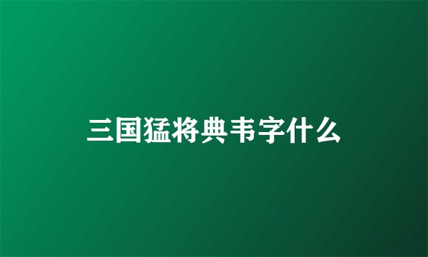 三国猛将典韦字什么