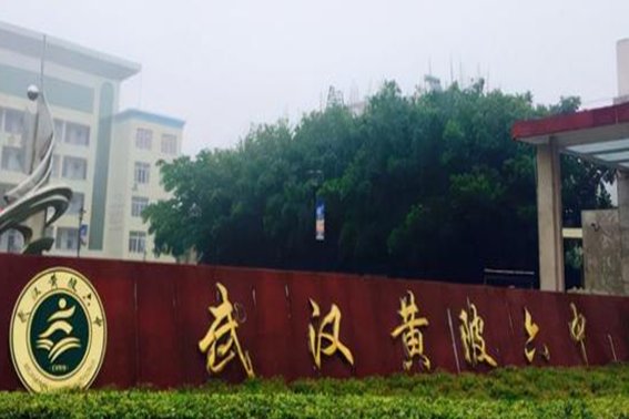 黄陂有几所高中啊