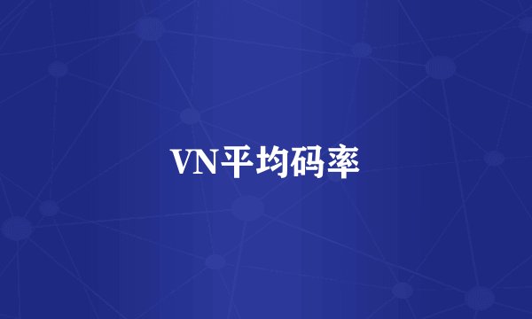 VN平均码率