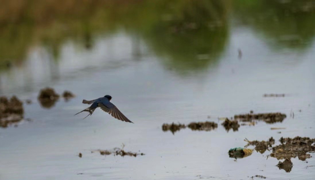 下雨前有哪些预兆？