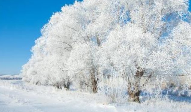 五九是什么意思？