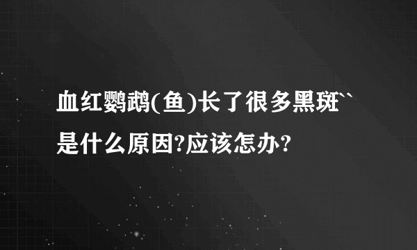 血红鹦鹉(鱼)长了很多黑斑``是什么原因?应该怎办?