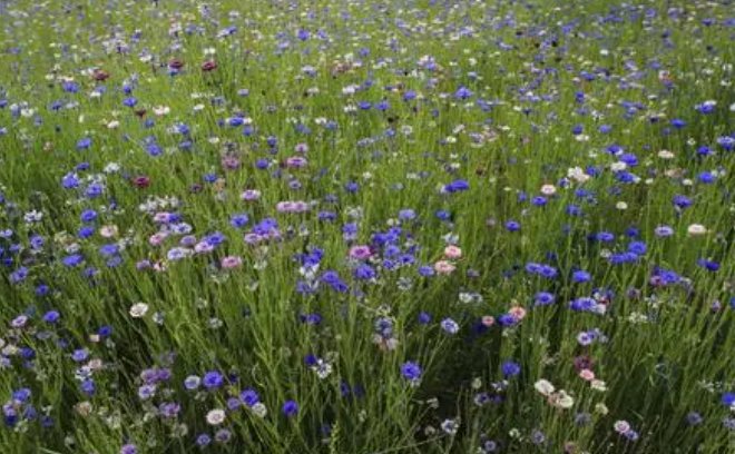 上山下乡电视剧有哪些？