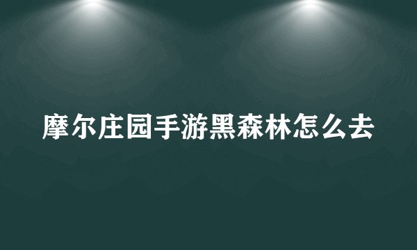 摩尔庄园手游黑森林怎么去